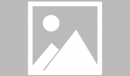 1月高招s最新爆料,独家爆料带你直击招生现场